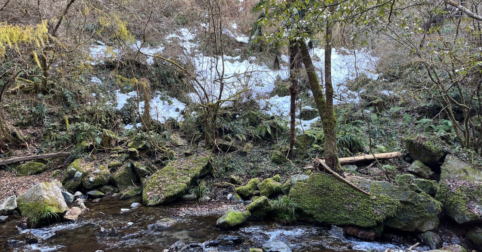 山口県道134号秋掛錦線 不通区間 中編｜Asatteca