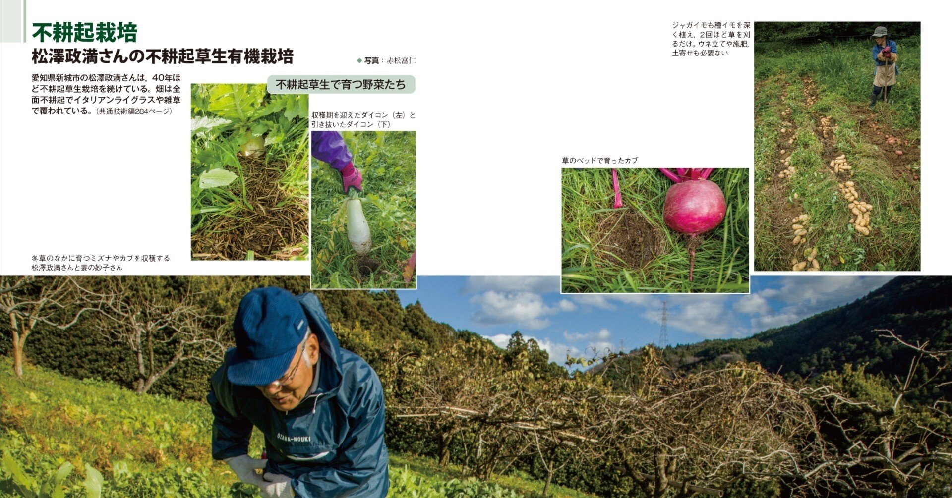 豆ぽじ 農文協 最新農業技術 野菜vol.12 ～14 最新農業技術野菜 vol.12/農山漁村文化協会 : bookfanプレミアム