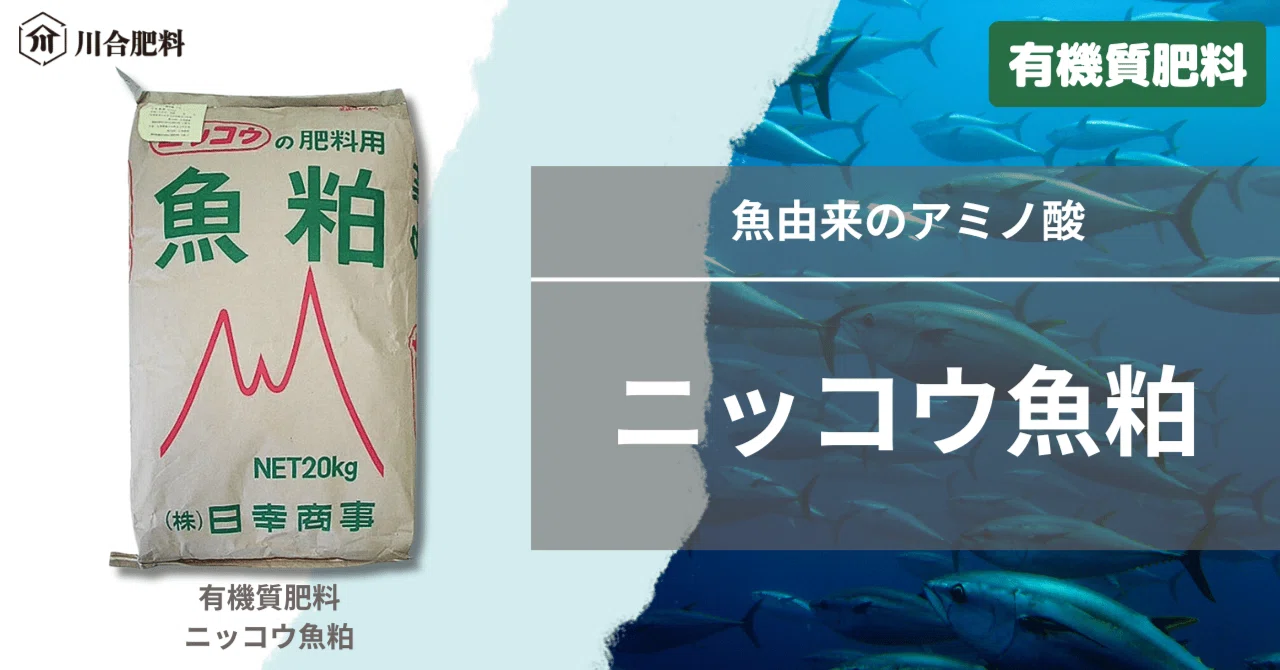 魚由来のアミノ酸「ニッコウ魚粕」｜川合肥料