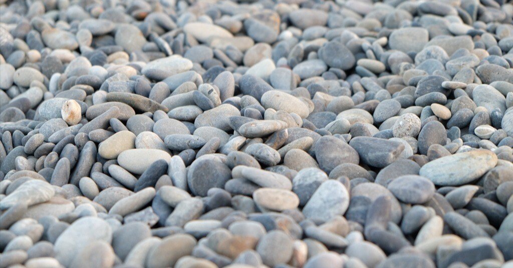 石好きの人と三重の海で石拾い、奇跡の石たち ｜思い出その百二十六の