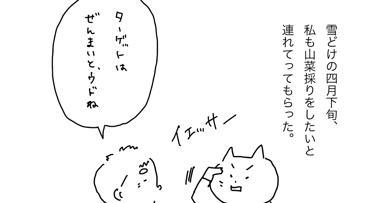 断崖絶壁に生息するぜんまいを採集せよ 佐藤 可奈子 エッセイを描く雪国農家 Note