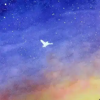 yoru