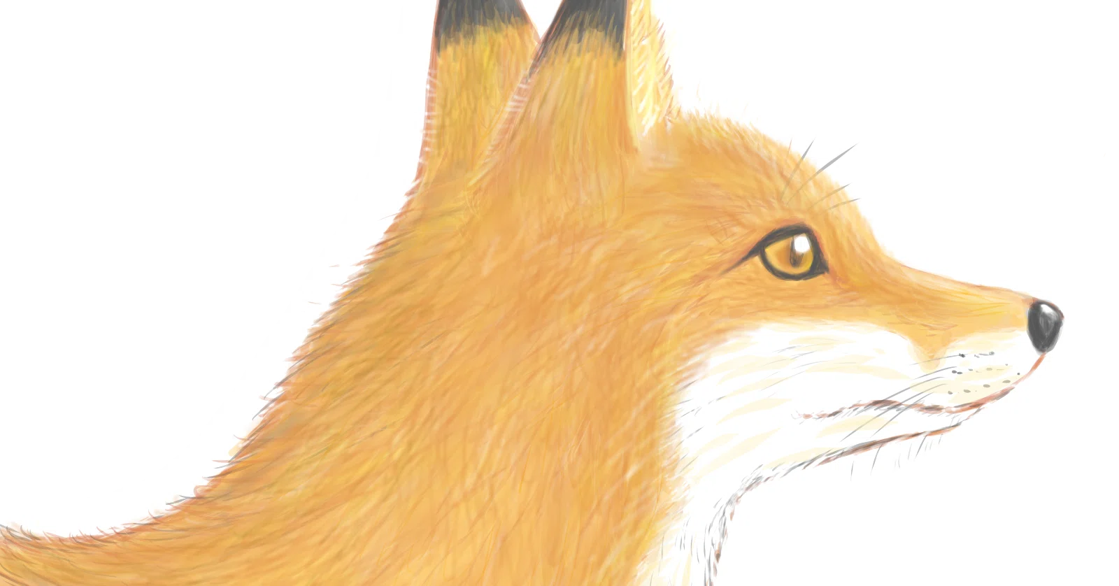 キツネの横顔の絵をイラストACにアップ／SUZURIでグッズも作成｜月澄狸