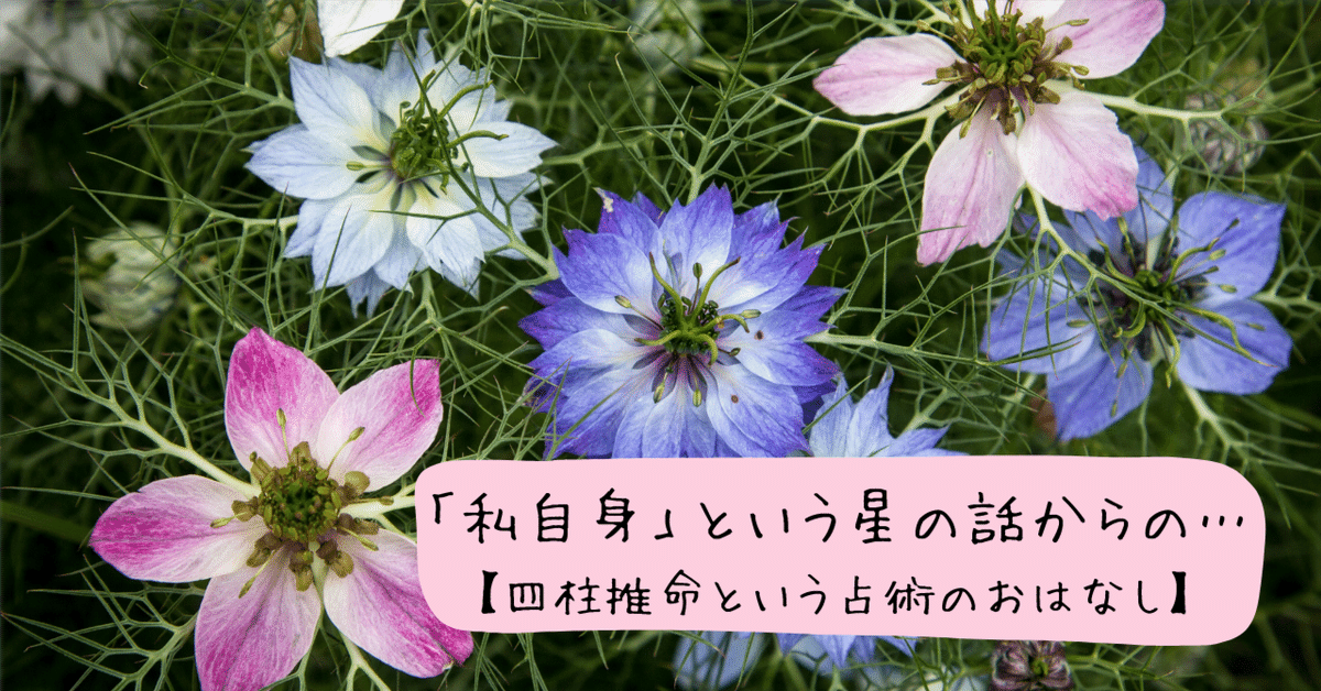 最終価格！希少！四柱推命　恋愛運　ジュヌビエーヴ・沙羅 2023年の運勢占い「四柱推命」で占う全体運・恋愛運・開運