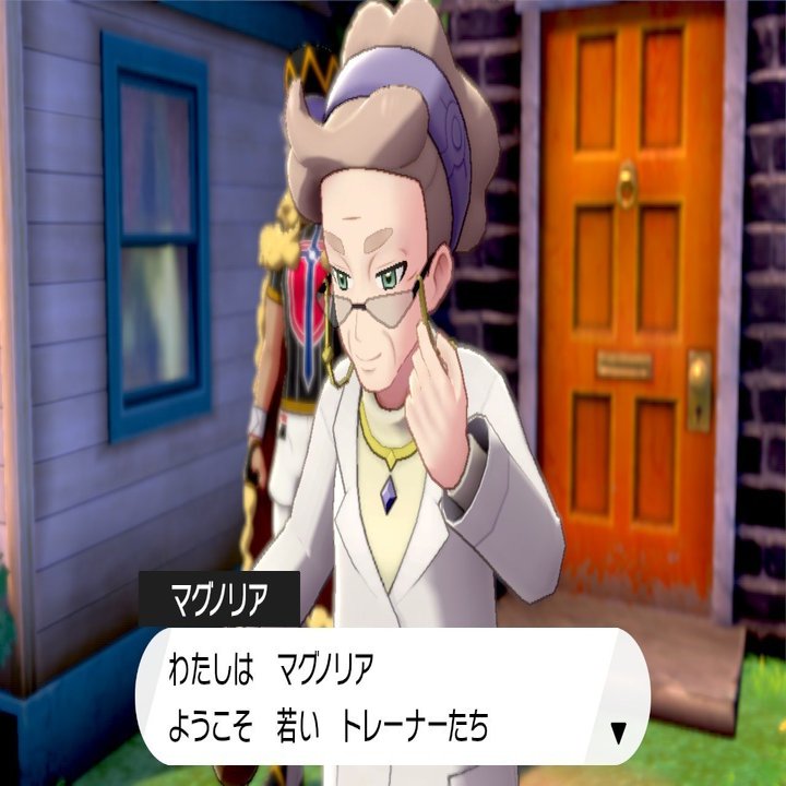 ガラル地方を旅したおれのポケモンレポート Mr Koo Note