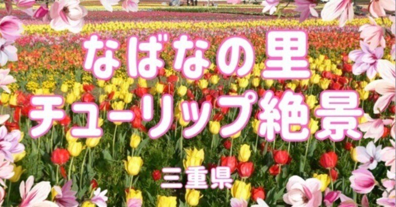 チューリップが織りなす春の絶景【なばなの里】三重県