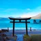 夏海浄
