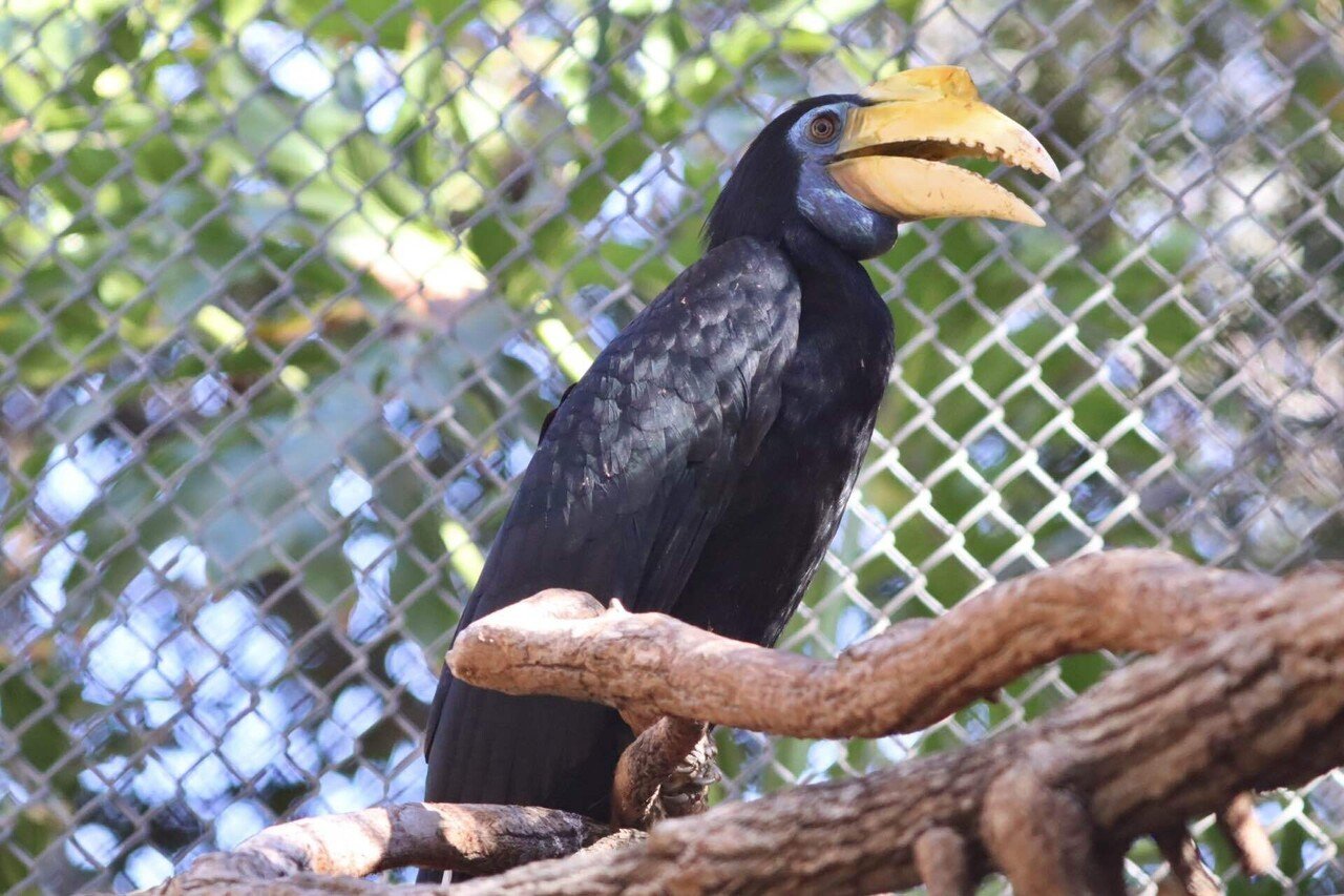 上野珍獣動物園