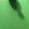 イズミヤ