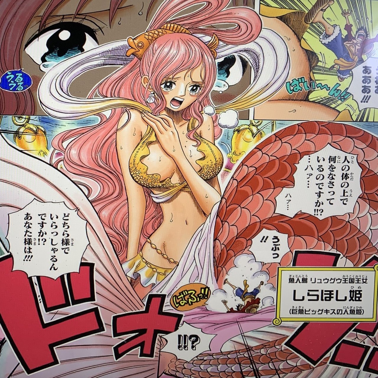 One Piece 性格診断 あなたは誰タイプ 山野 礁太 ライター One Piece学 研究家 Note