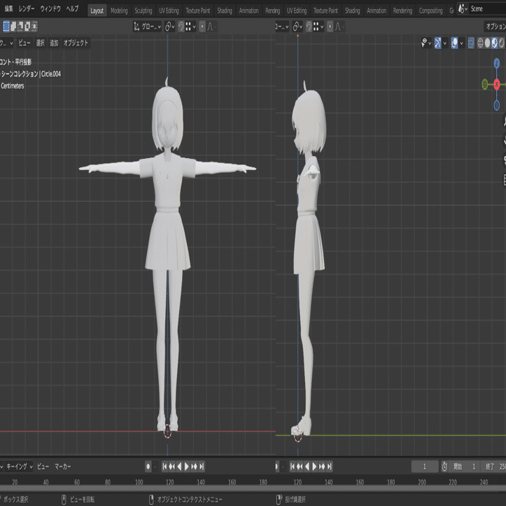 バーチャルビューティ完全美少女の作り方１・３・４」「3Dテクスチャテクニック」 Blenderで女の子