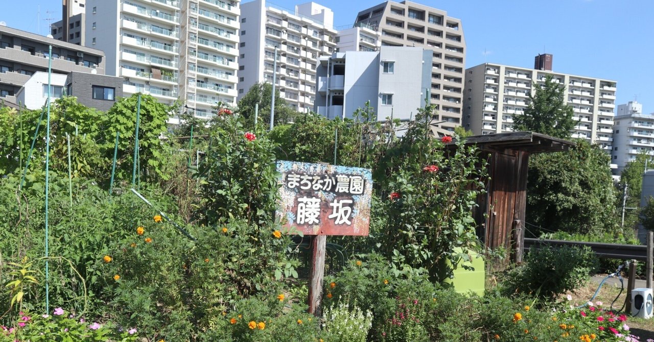 【中古】 畑を借りて野菜を作ろう 市民農園ライフ/日経ＢＰ企画/藤田智 中古】 畑を借りて野菜を作ろう 市民農園ライフ/日経BP企画