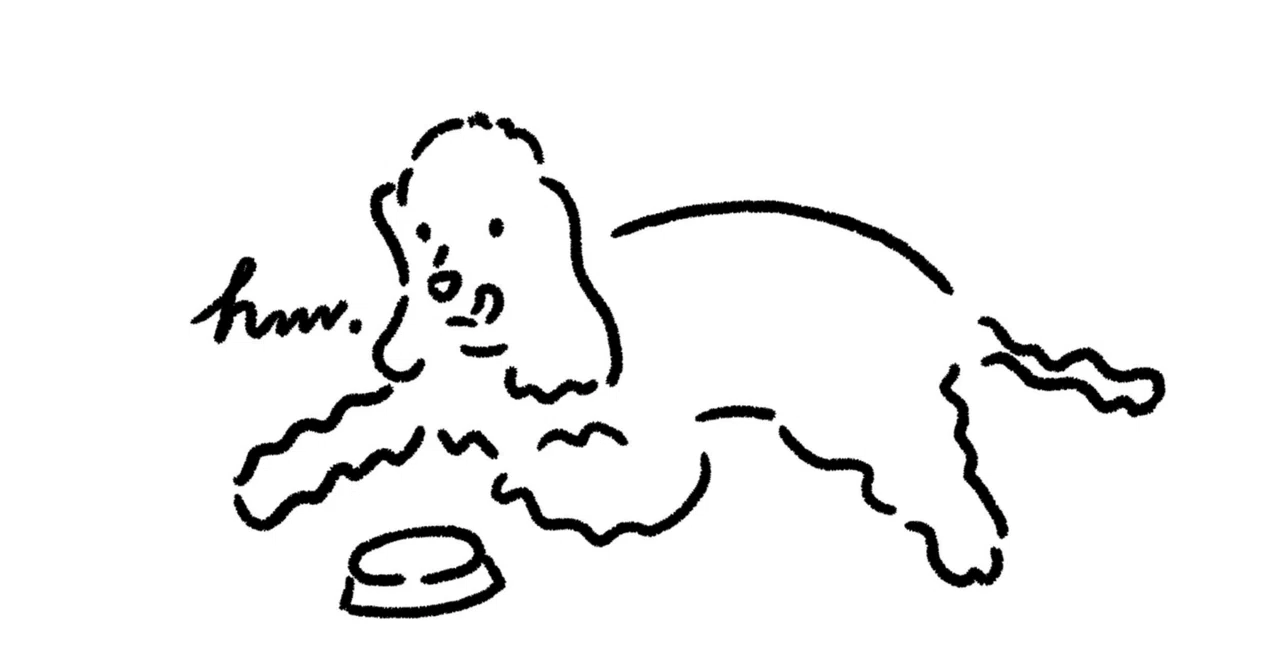 The Story of Taking My Beloved Dog's Portrait｜Chika.M