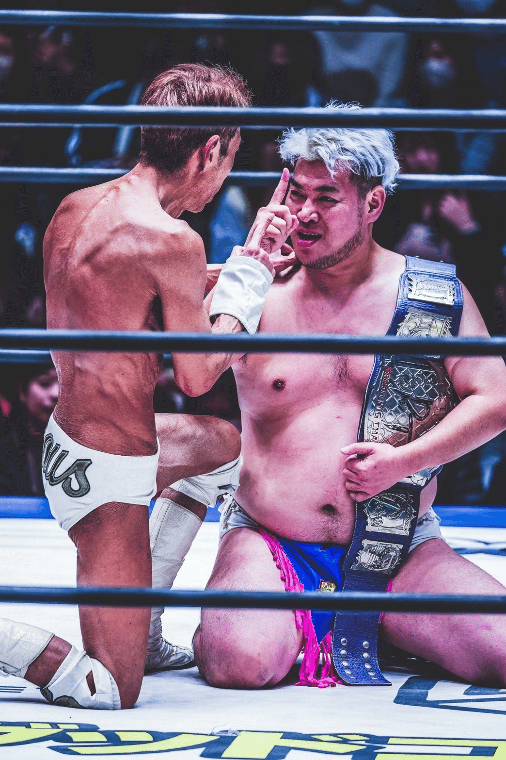 男色写真 男色ディーノ】DDT生写真 惑っ