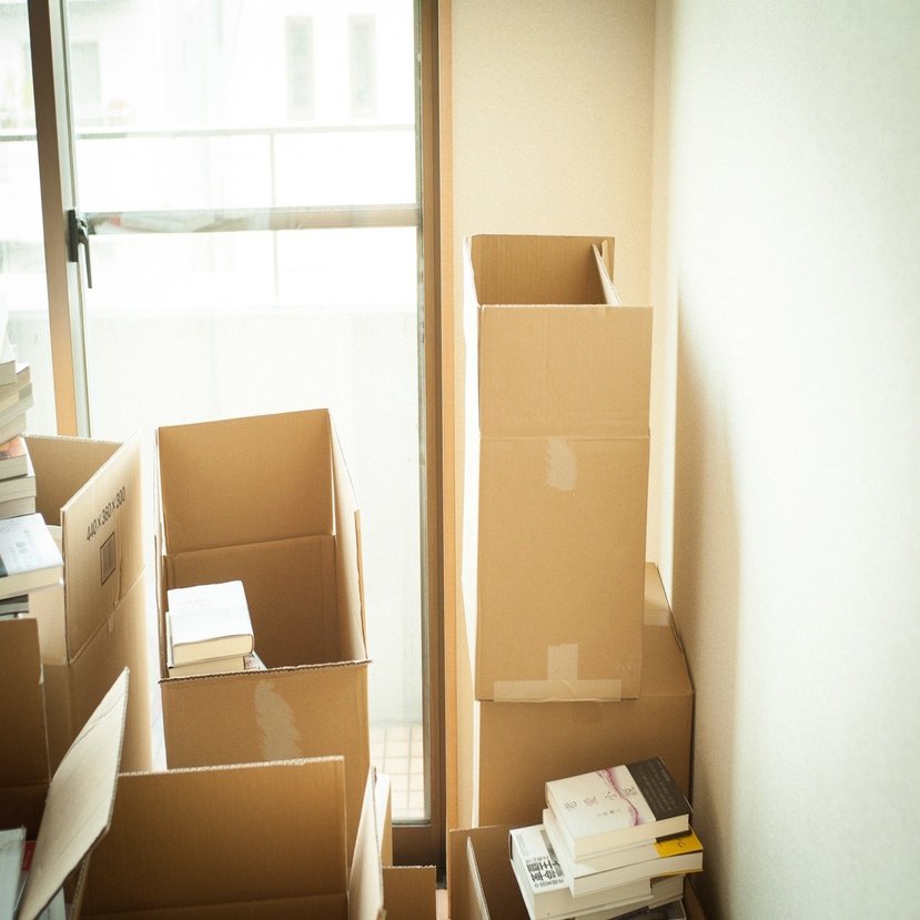 すべての本好きのみなさんへ 本棚の整理なくして新年はなし 光文社新書