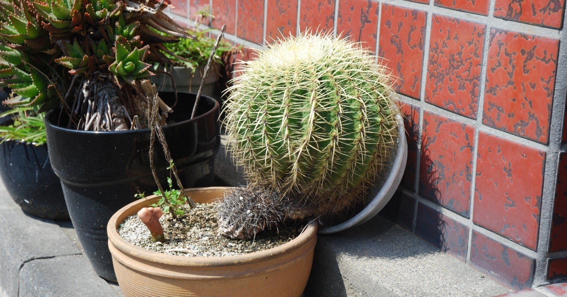 7e22ddde389bf5d576404eccc08316