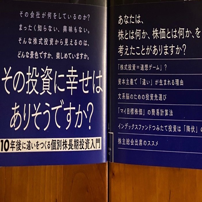 星海社新書＞大暴落の夜に長期投資家が考えていること （著・ろくすけさん）が書店に並び始めた話｜renny | 投資家