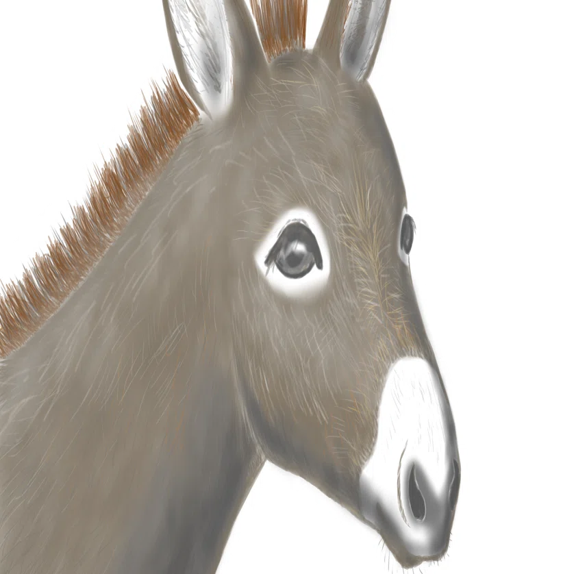 ロバの絵をイラストACにアップ／SUZURIでグッズも作成｜月澄狸
