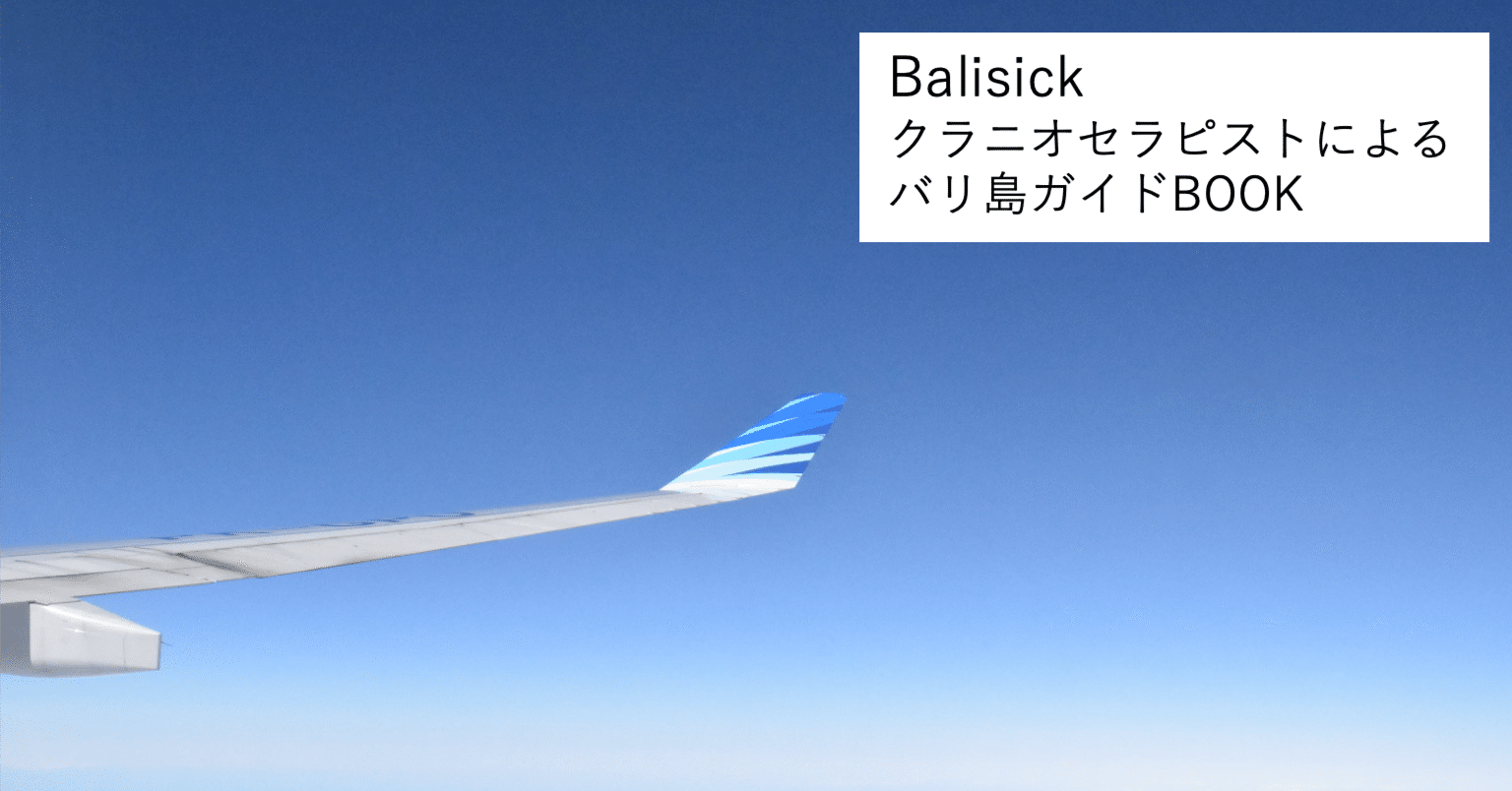 ガルーダって、なんだ？ インドネシアのナショナルフラッグ・キャリア