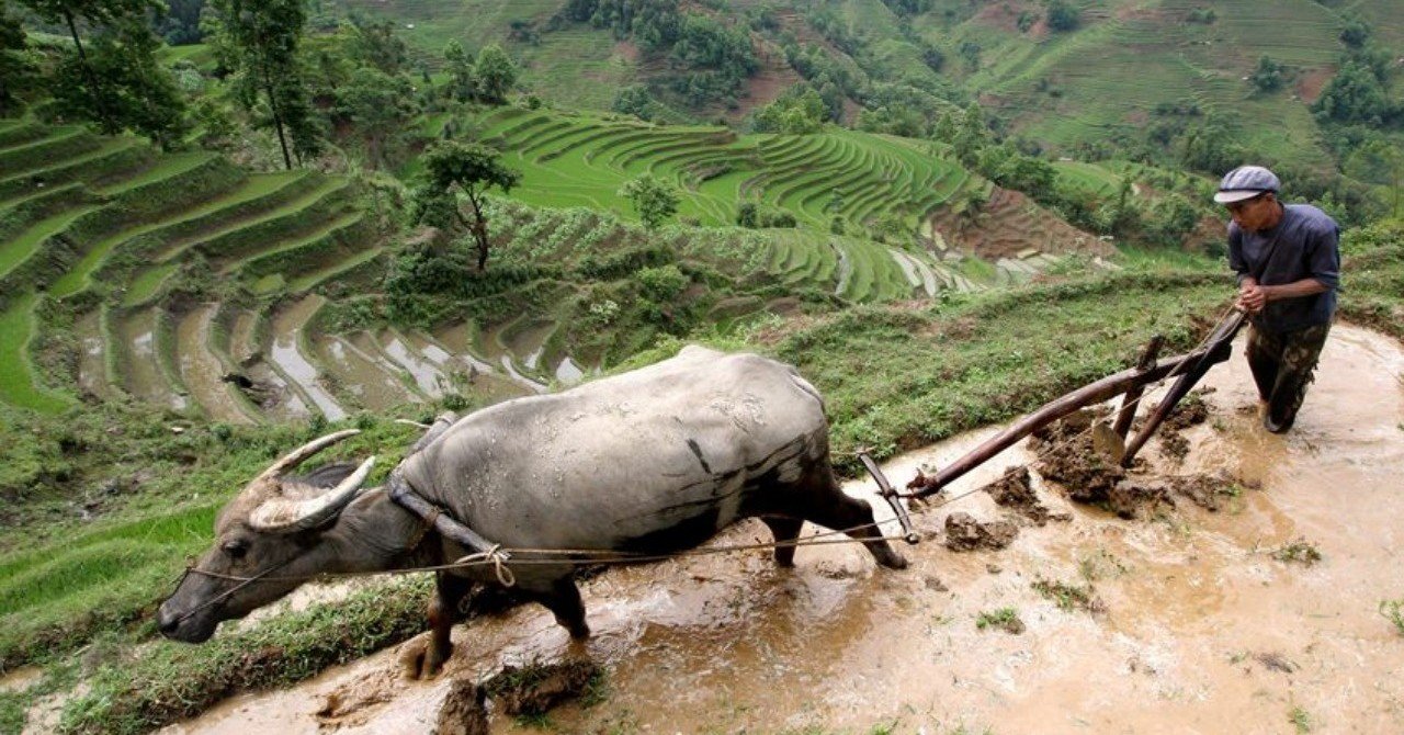 2.3.5 社会変動と新思想 世界史の教科書を最初から最後まで