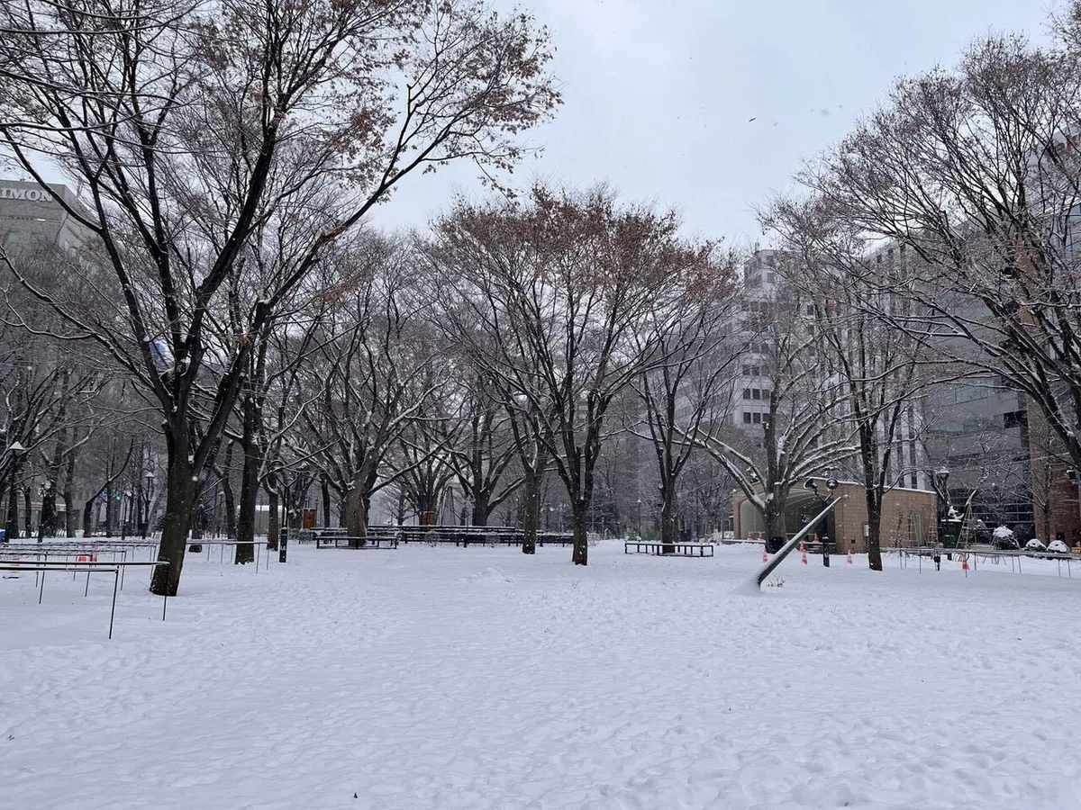 札幌大通り公園