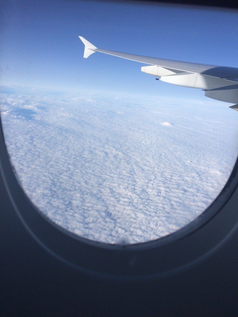 飛行機恐怖症なエンジニアと海外の風景｜freddi