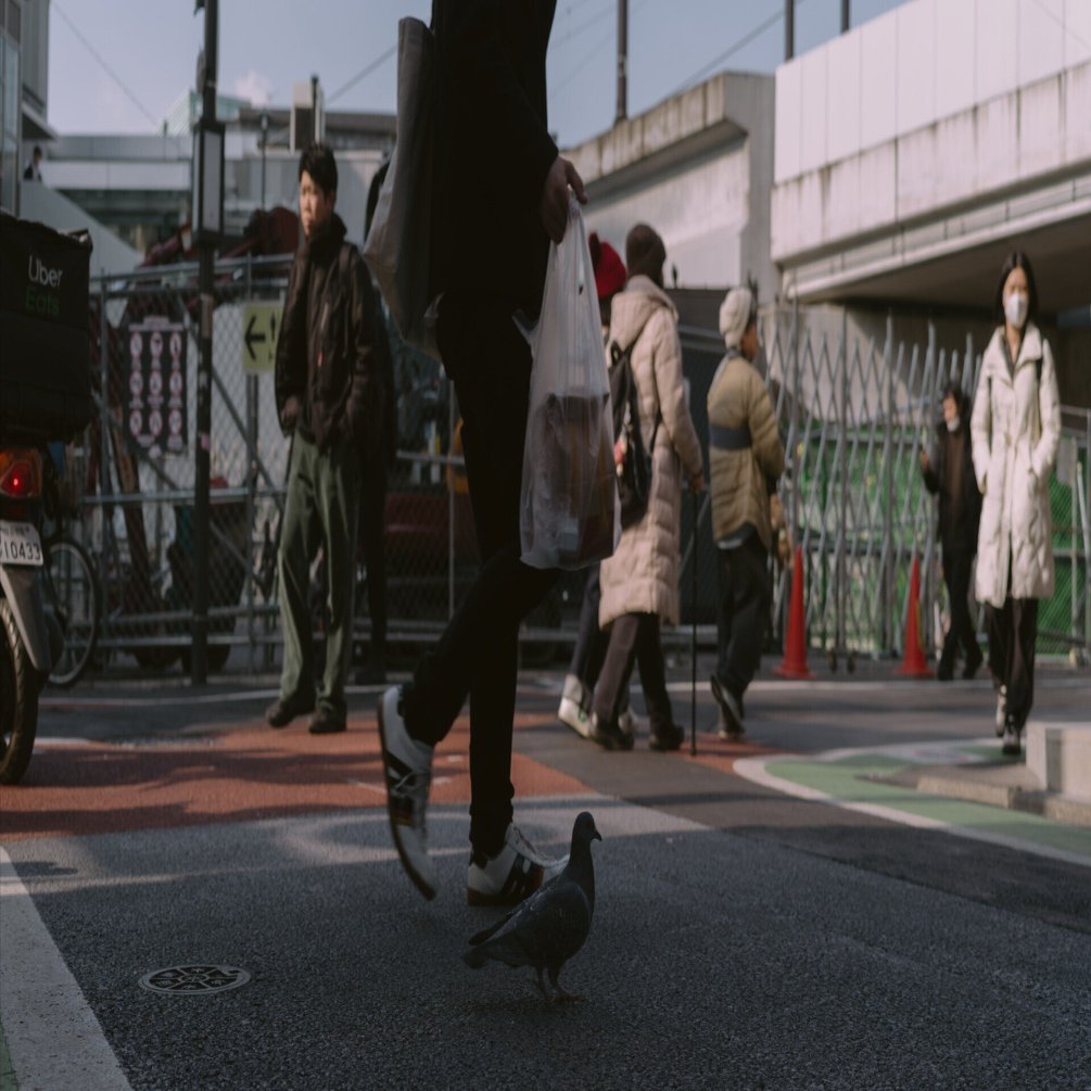 作例29枚】Hasselblad XCD 4/45P【907X/CFV50C】｜たねだもとき