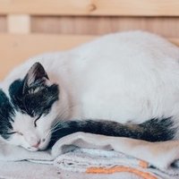 26歳は人生の転機説 について 26歳を目前にして考える 小林 冬馬 26歳は人生の転機説 について 26歳を目前にして考える 小林 冬馬