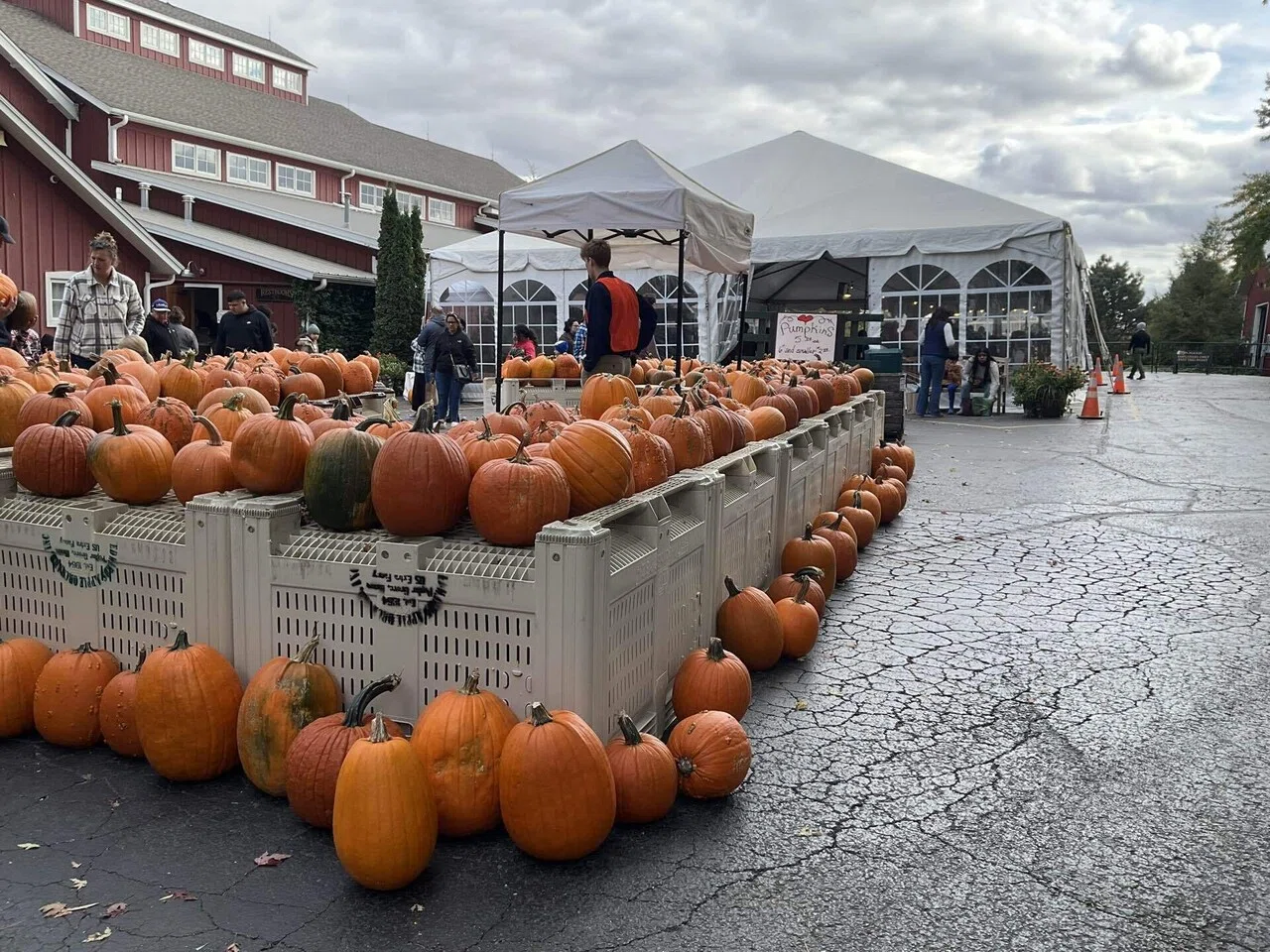 2024年秋・日帰りロードトリップ：ハロウィン間近のシカゴ郊外で