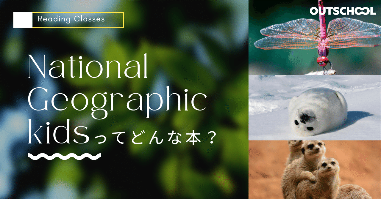 National Geographic Kids レベル1,2,3 Ultimate Mammalpedia Book – National Geographic Kids | Disney Store