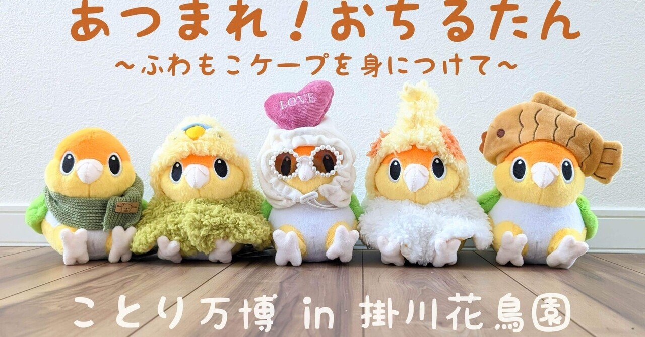 あつまれ！おちるたん ～ふわもこケープを身につけて～ in 掛川