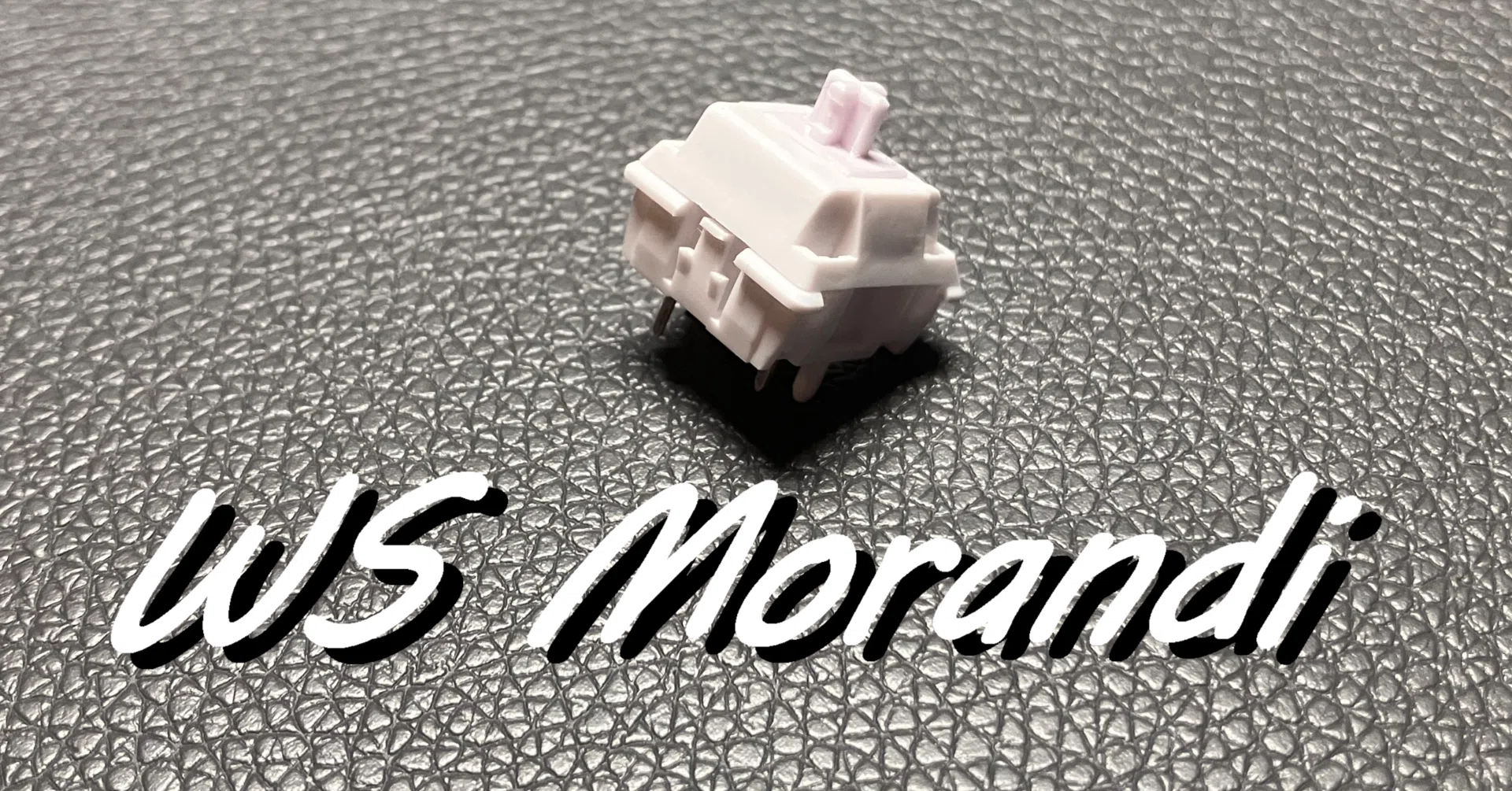 キースイッチレビュー】WS Morandiを使ってみました｜ヒトガタ@爬虫類
