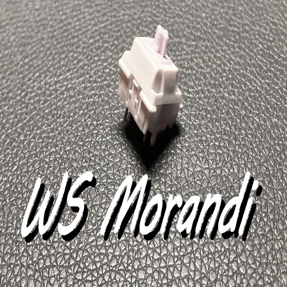 キースイッチレビュー】WS Morandiを使ってみました｜ヒトガタ@爬虫類