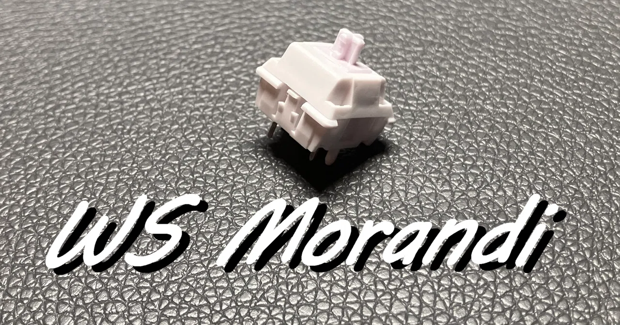 Key Switch Review] I tried out the WS Morandi｜ヒトガタ@爬虫類とIT沼