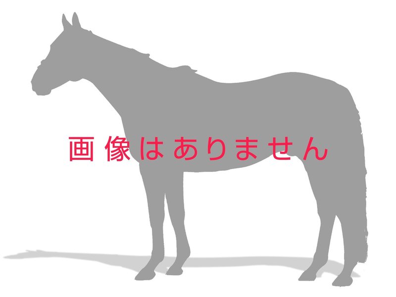 血統 馬体講座 サンライズラポール Jrdb 競馬アラカルト Note