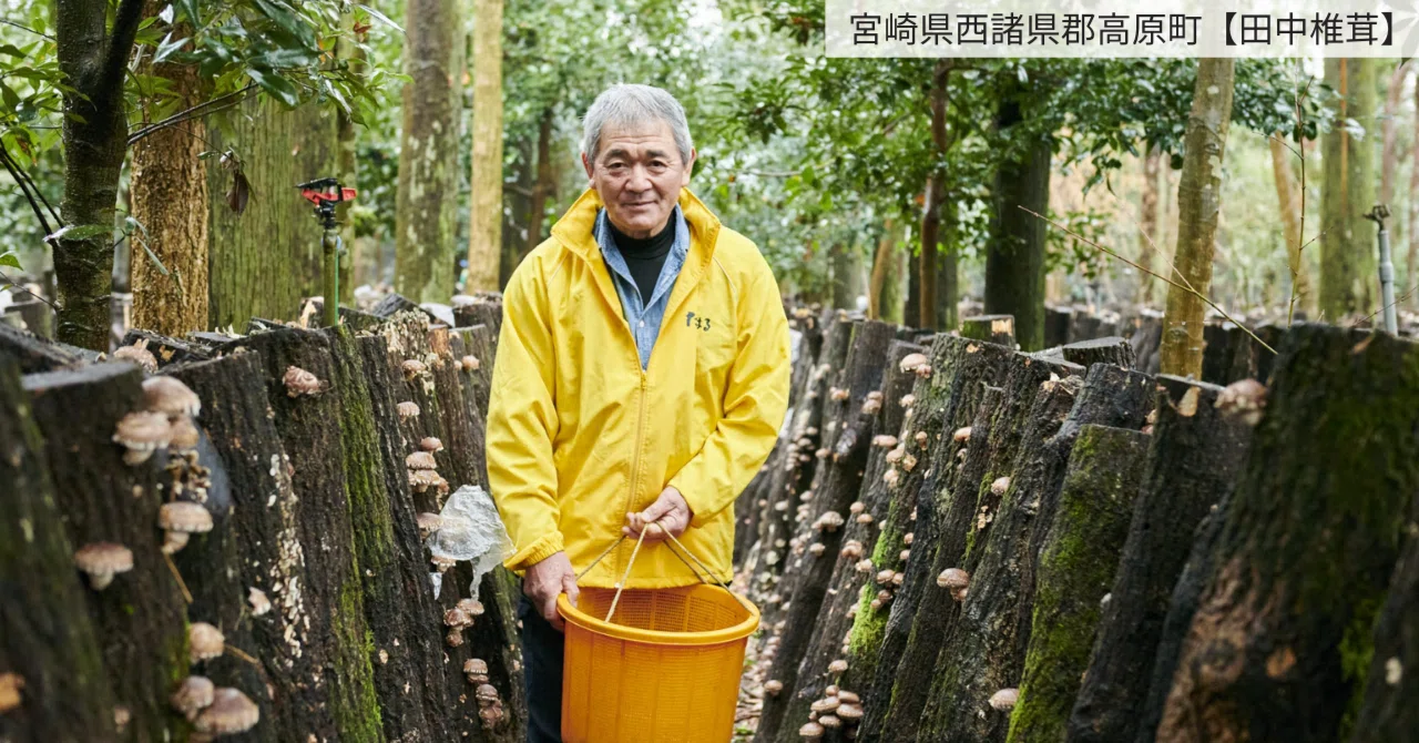 本物を正直にをモットーに」世界にも認められた原木椎茸【田中椎茸