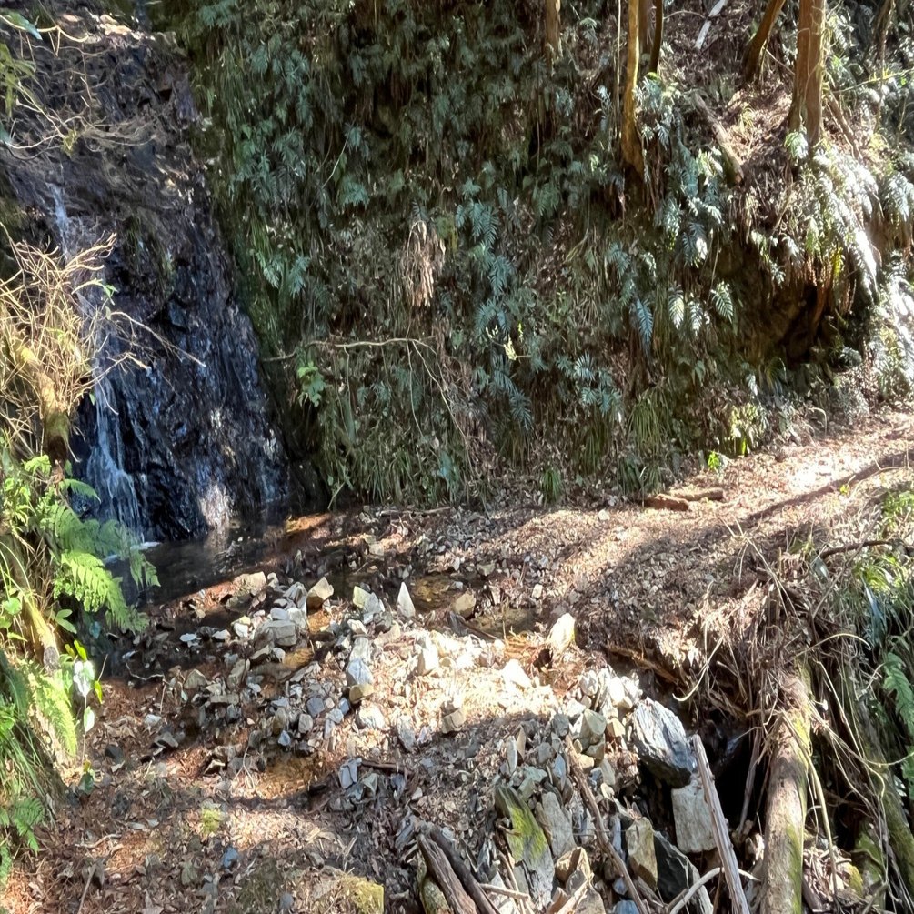 山口県道134号秋掛錦線 不通区間 後編｜Asatteca