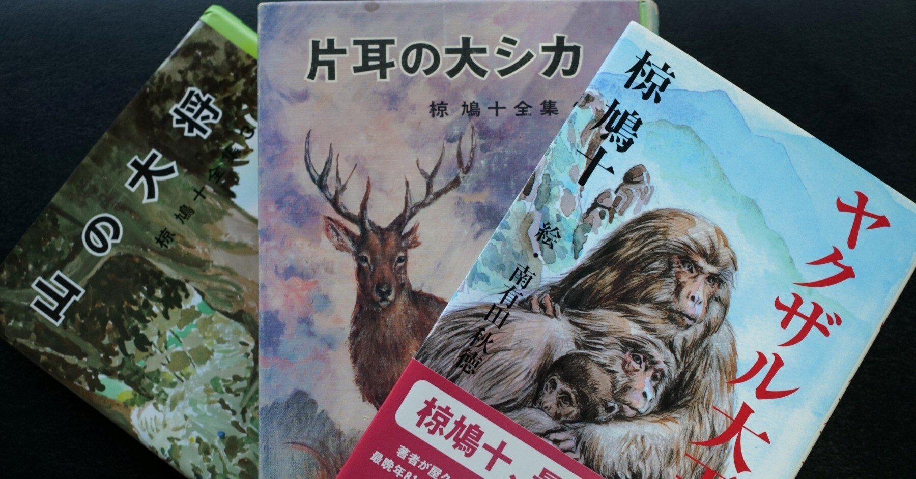 文学から読み解く屋久島・児童文学作家：椋鳩十」｜屋久島自然学校