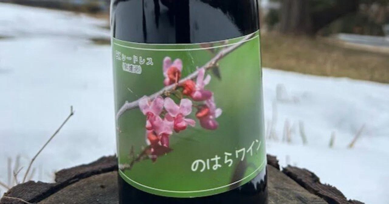 のはらワインBKシードレス2022｜mutsumiwinery