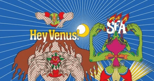 Super Furry Animals/ Hey Venus! レコード Amazon.co.jp: Hey Venus! by Super Furry Animals (2007-08-22