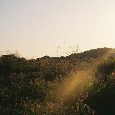 余波