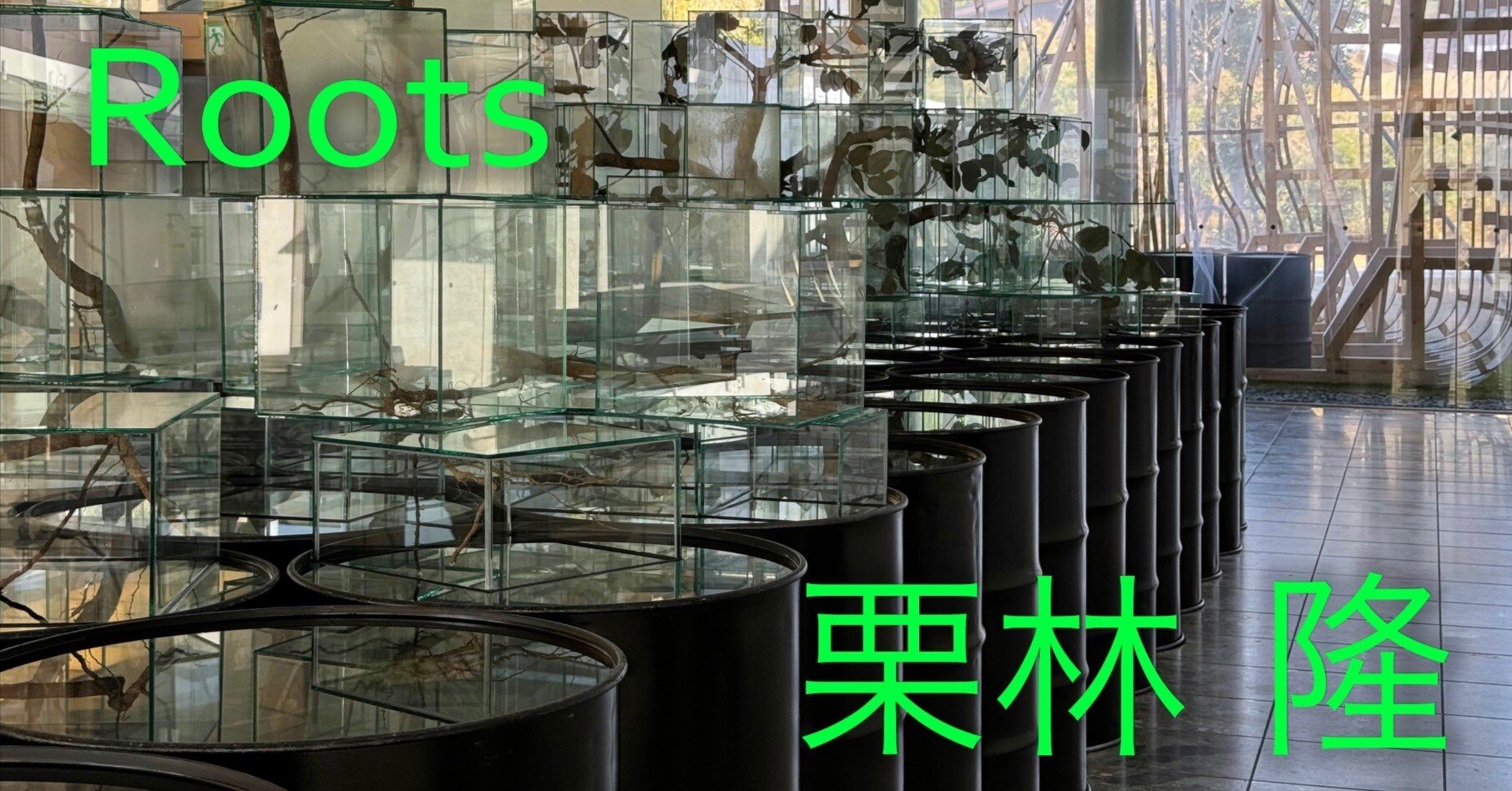 美術展2025#07】栗林隆 Roots＠神奈川県立近代美術館 葉山｜mata