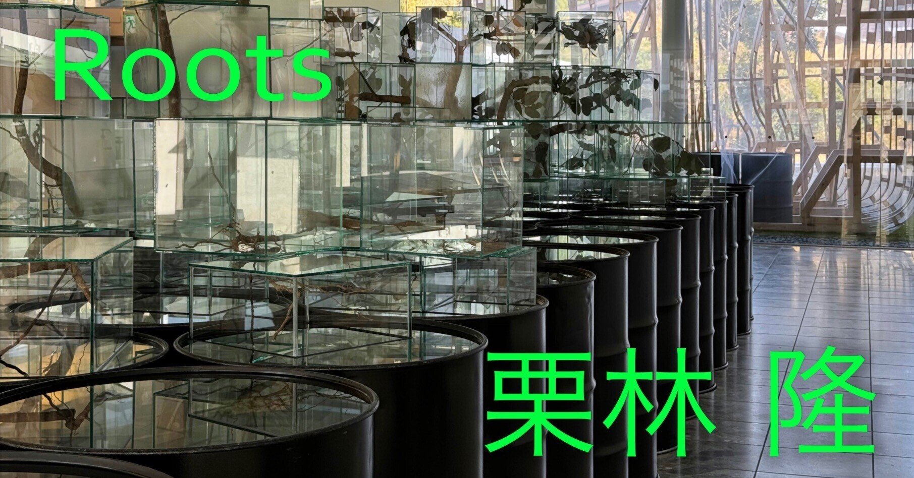 美術展2025#07】栗林隆 Roots@神奈川県立近代美術館 葉山|mata 美術展2025#07】栗林隆 Roots@神奈川県立近代美術館 葉山|mata