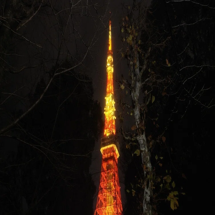 2025*01*24（金） THIS IS 向井秀徳！ PHOTO BY 菊池茂夫｜e143