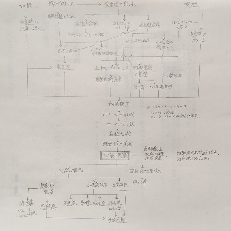 心不全 病態 関連 図