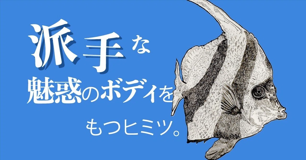 見出し画像