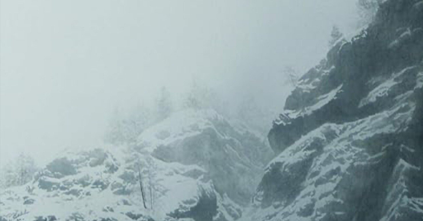 釘町彰】日本画 査定 鑑定 買取 致します｜井浦歳和 ロイドワークス