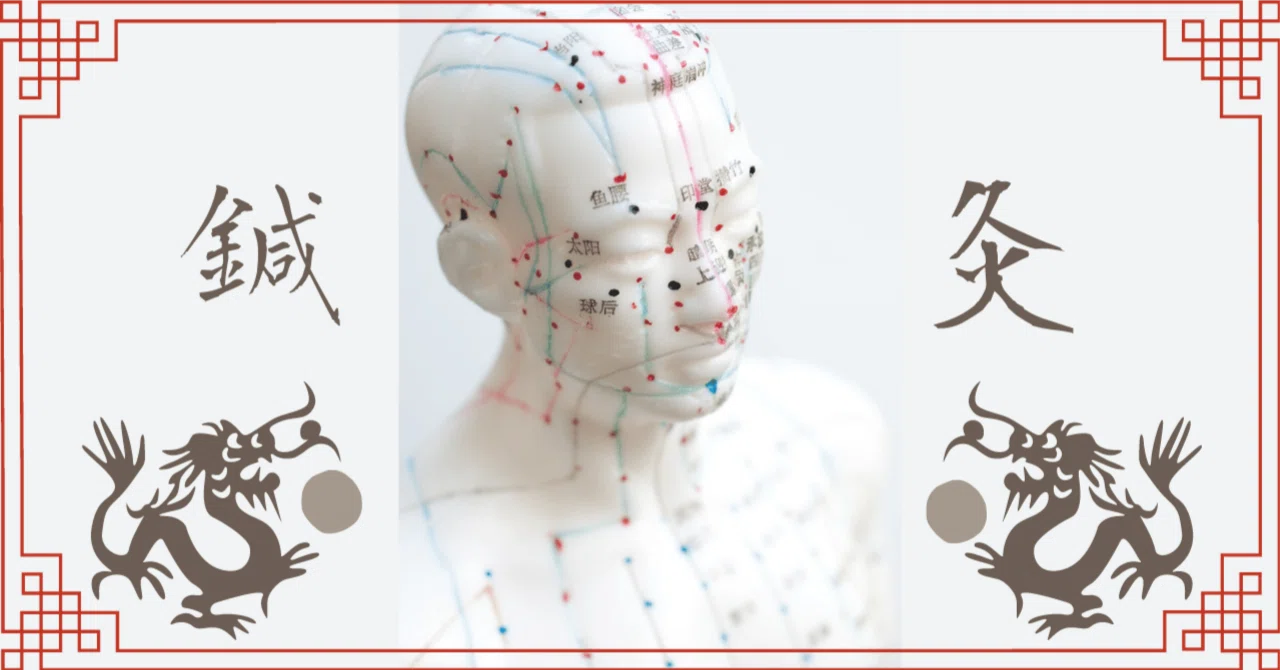 Basic Knowledge of Meridian Therapy｜健身治癒note〜型破りな健康情報