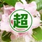 超記憶術先生