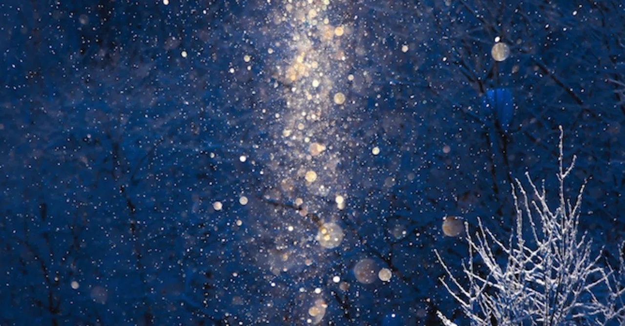 今季初ダイヤモンドダスト 写真家 林祐介 Note